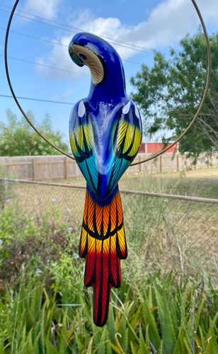 Talavera macaw parrot - macaw,