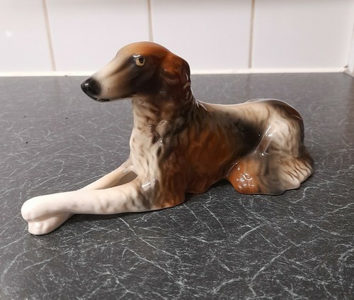 Large long haired greyhound - haired, /
