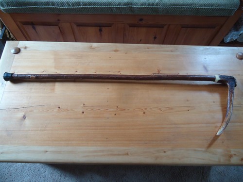 Red deer antler - red,