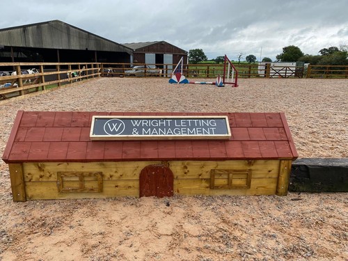 Cross country horse - cross,