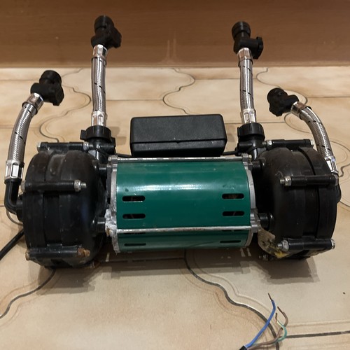Salamander right rsp - salamander,