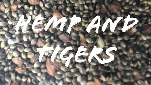 20kg unprepared hemp - unprepared, &