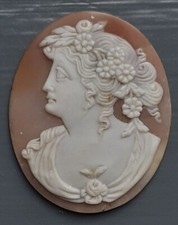 Grand Tour Shell Cameo Early 19th Century Classical Profile Unmounted 42mm