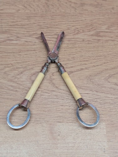 Antique epns grape scissors - epns,