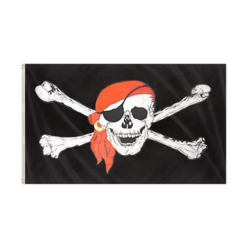Jolly roger large pirate flag - large,