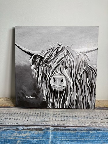 Steven brown highland cow - steven,