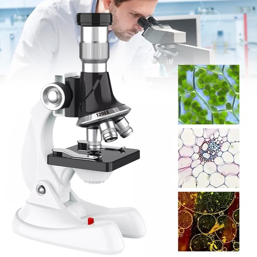 1200x student biological - 1200x,