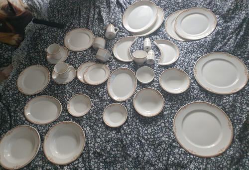 Dudson fine china dinner - fine,