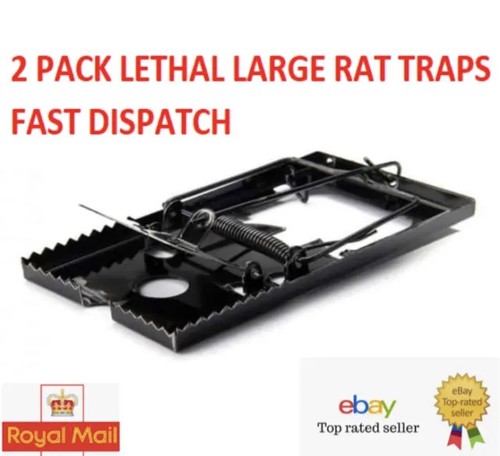 Large rat catching - 2, metal