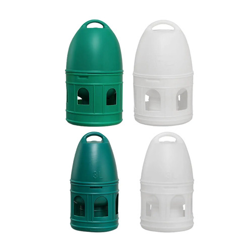 Bird water drinker - bird,