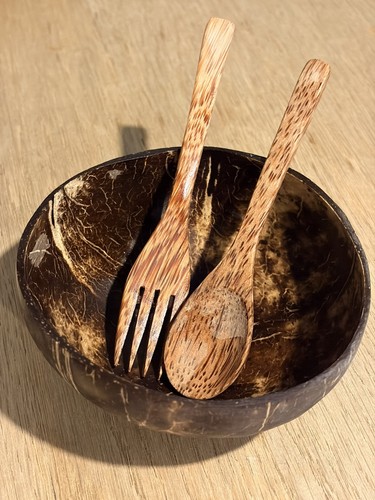 Coconut shell bowl - coconut,