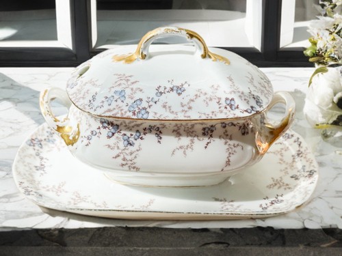 Antique 1880s haviland - antique,