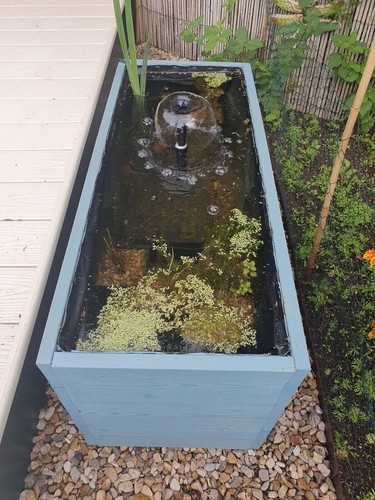 Raised garden pond wooden - garden,