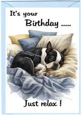 Boston Terrier Dog Birthday