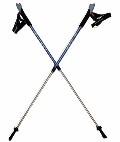 Leki nordic walking - leki,