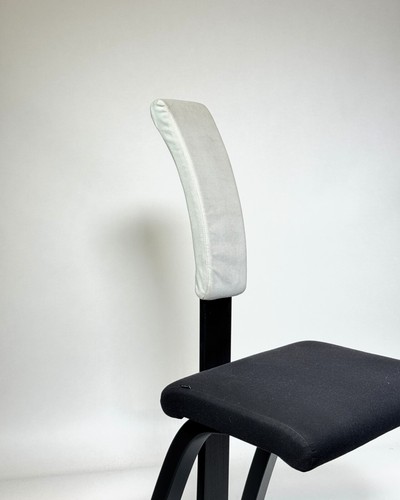 Varier variable backrest - varier,