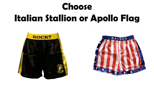 Rocky balboa boxing - rocky, halloween