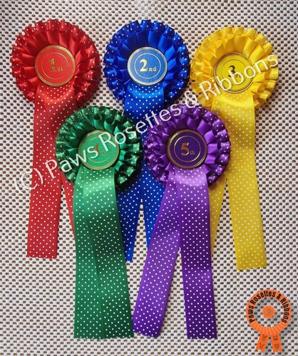 Spotty rosettes horse - spotty,