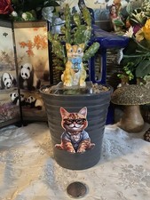 Prickly Pear Cactus In A Free