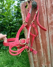 Monty Roberts Dually