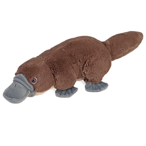 Mini duck billed platypus - mini,