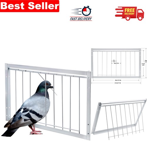One way iron pigeon trap - pigeon, door