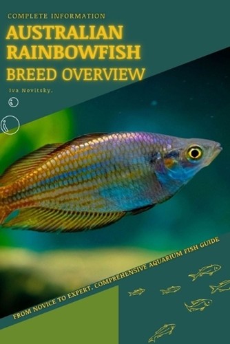 Australian rainbowfish from - australian, rainbowfish: