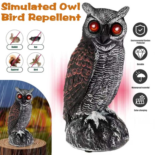Solar owl decoy deterrent - solar,