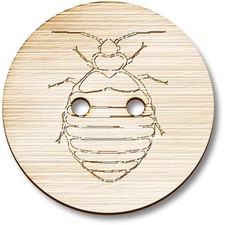 'Bed Bug' Wooden Buttons (BT042242)