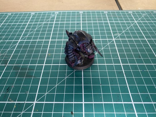 Tyrant guard tyrannid - tyrant,