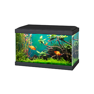 Ciano aqua classic - ciano,