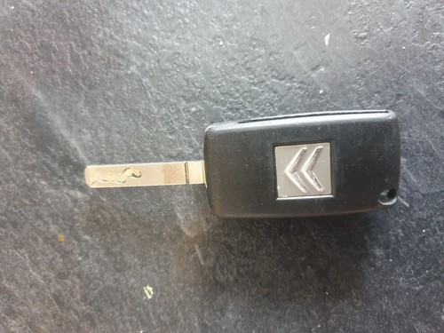 Genuine button key - key, fob
