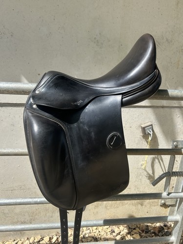 Amerigo vega dressage - vega,