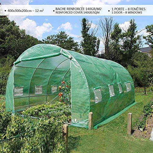 Polytunnel greenhouse 4x3x2m - polytunnel,