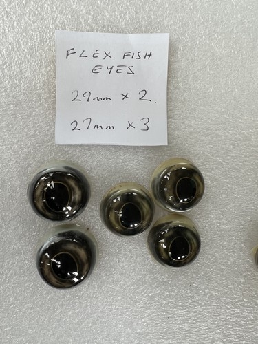 Taxidermy fish flex - taxidermy,