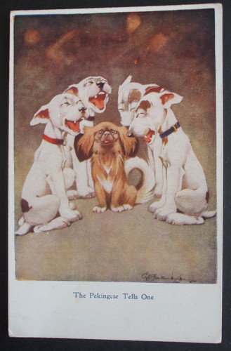 Studdy comic pekingese - g, e