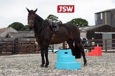 PORTABLE 3 STEP HORSE MOUNTING BLOCK British Made 🌞Stepper *IN STOCK* at JSW