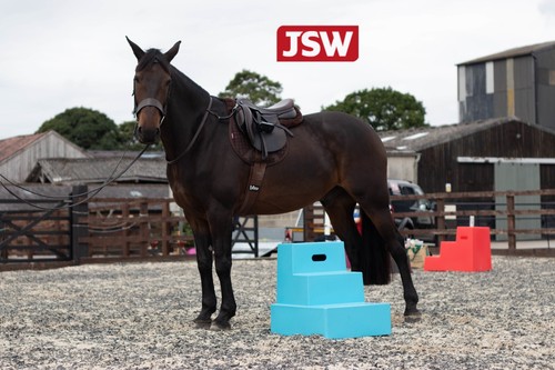 Portable step horse mounting - portable,
