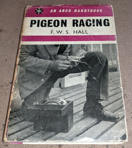 Pigeon racing s hall - pigeon,