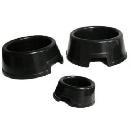 Reptile round food - reptile,