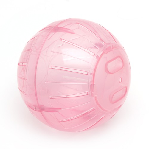 Hamster ball running - hamster,