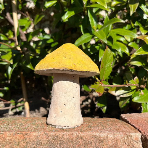 Concrete toadstool mushroom - concrete,