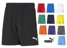 Puma Mens TeamRISE Shorts