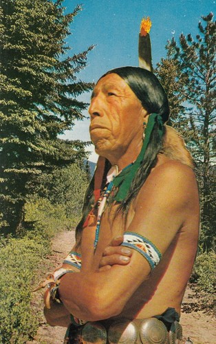 Vintage postcard native - postcard,