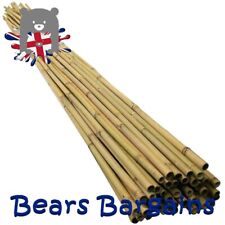 20 x 6ft Strong Bamboo Canes Garden Plant Support Stake Poles - Free UK Delivery