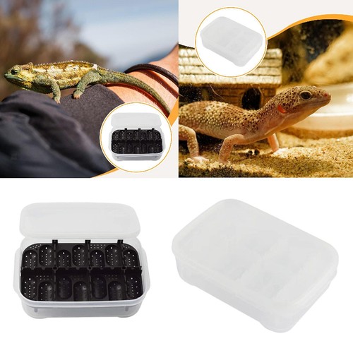Reptile breeding box egg - reptile,