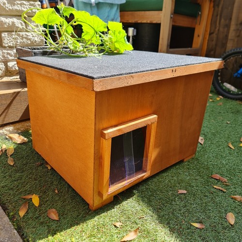 Outdoor insulated cat house - cat,