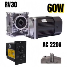 RV30 60W AC 220V 1350RPM Worm