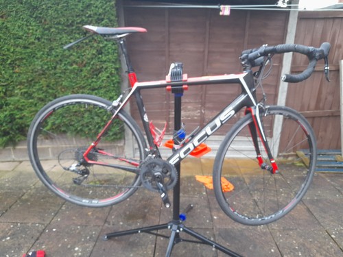 Focus cayo carbin road bike - road,