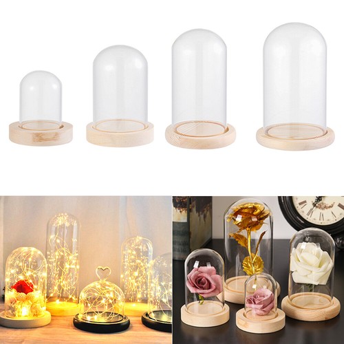 Glass dome display - display, bell